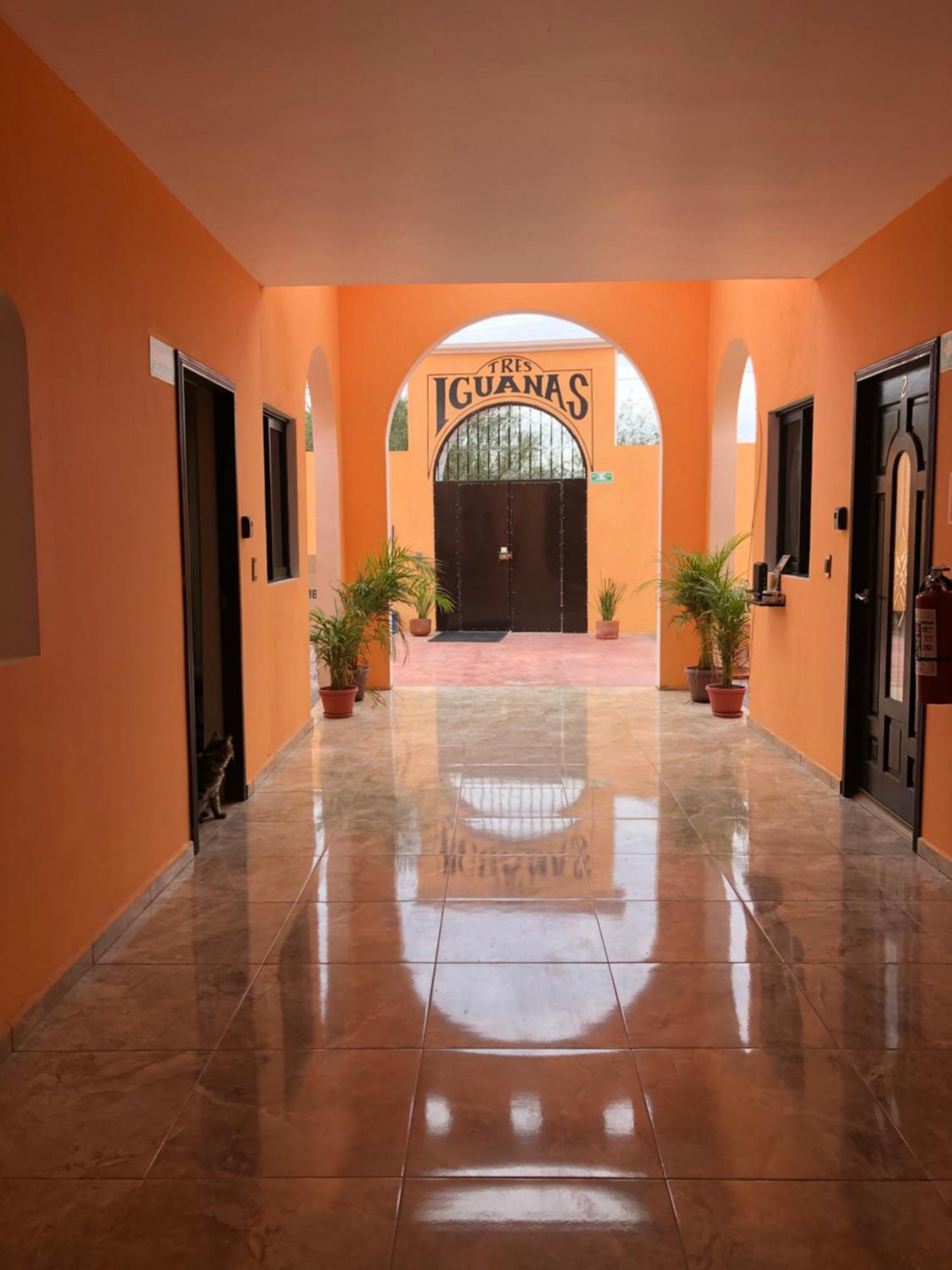 Tres Iguanas Apart Hotel - New, Cozy & Spacious Flats, Short Walk To Beach Loreto  Esterno foto