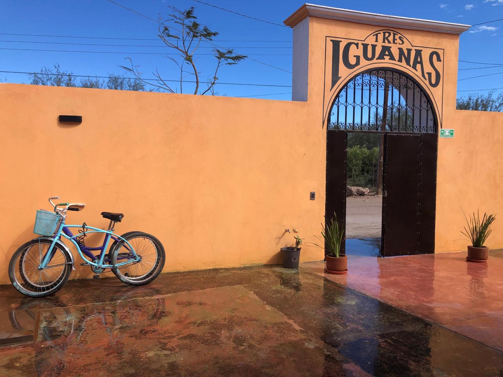 Tres Iguanas Apart Hotel - New, Cozy & Spacious Flats, Short Walk To Beach Loreto  Esterno foto