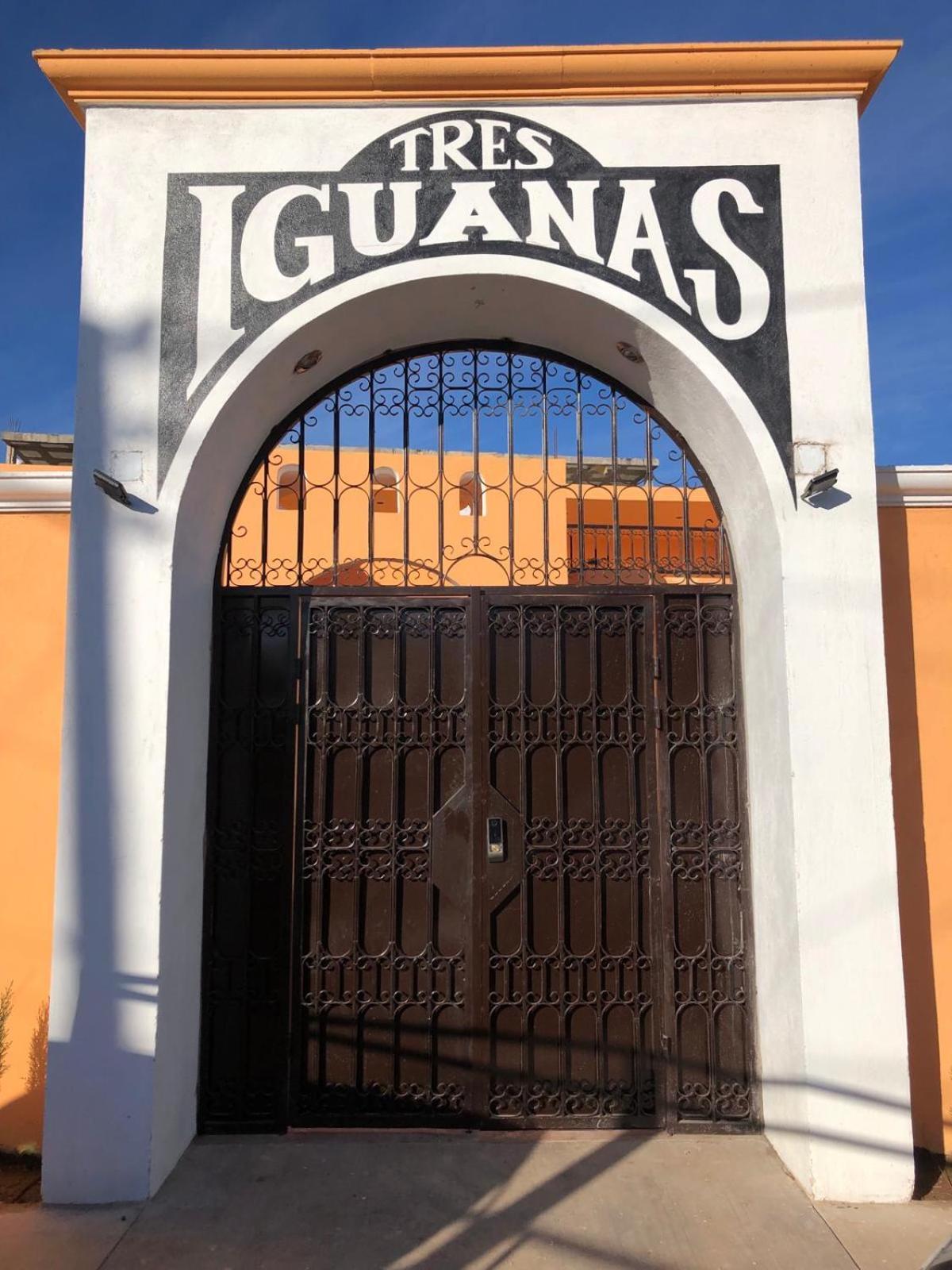 Tres Iguanas Apart Hotel - New, Cozy & Spacious Flats, Short Walk To Beach Loreto  Esterno foto