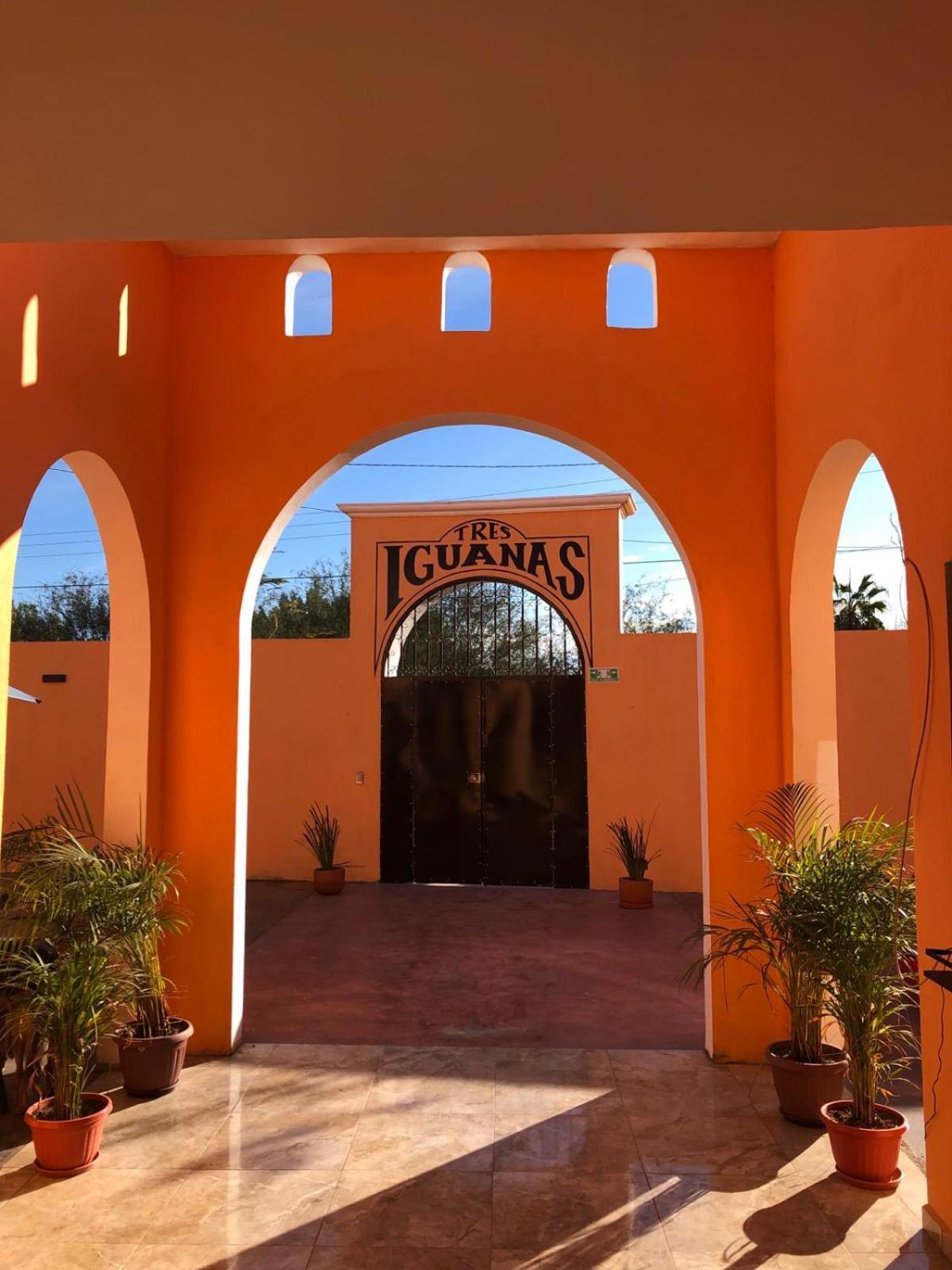 Tres Iguanas Apart Hotel - New, Cozy & Spacious Flats, Short Walk To Beach Loreto  Esterno foto