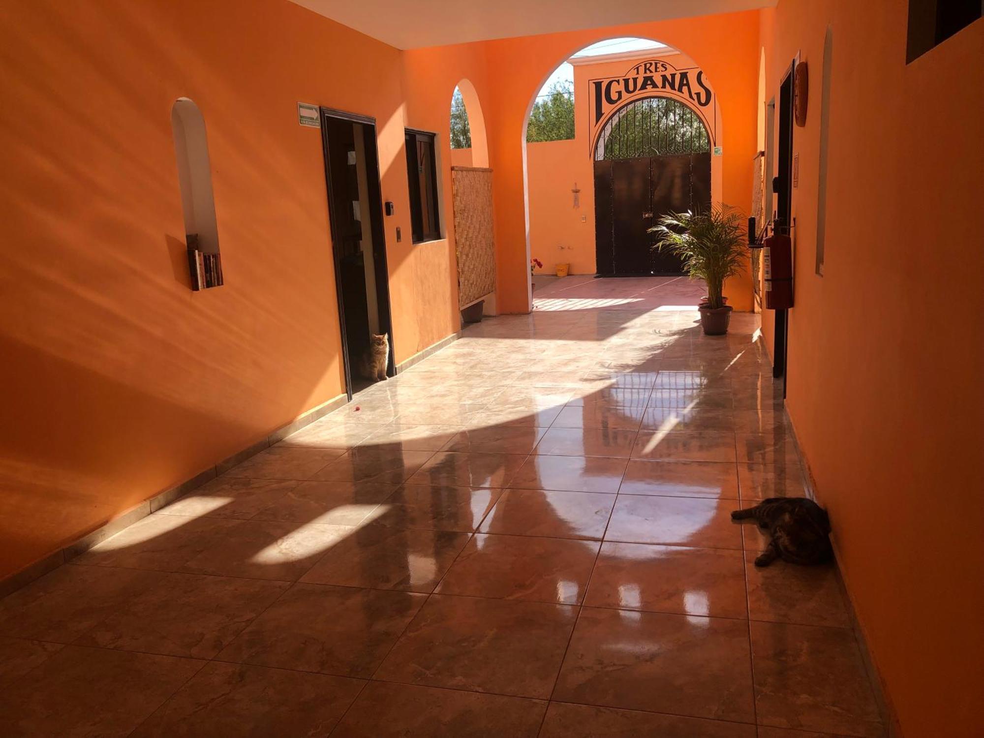Tres Iguanas Apart Hotel - New, Cozy & Spacious Flats, Short Walk To Beach Loreto  Esterno foto