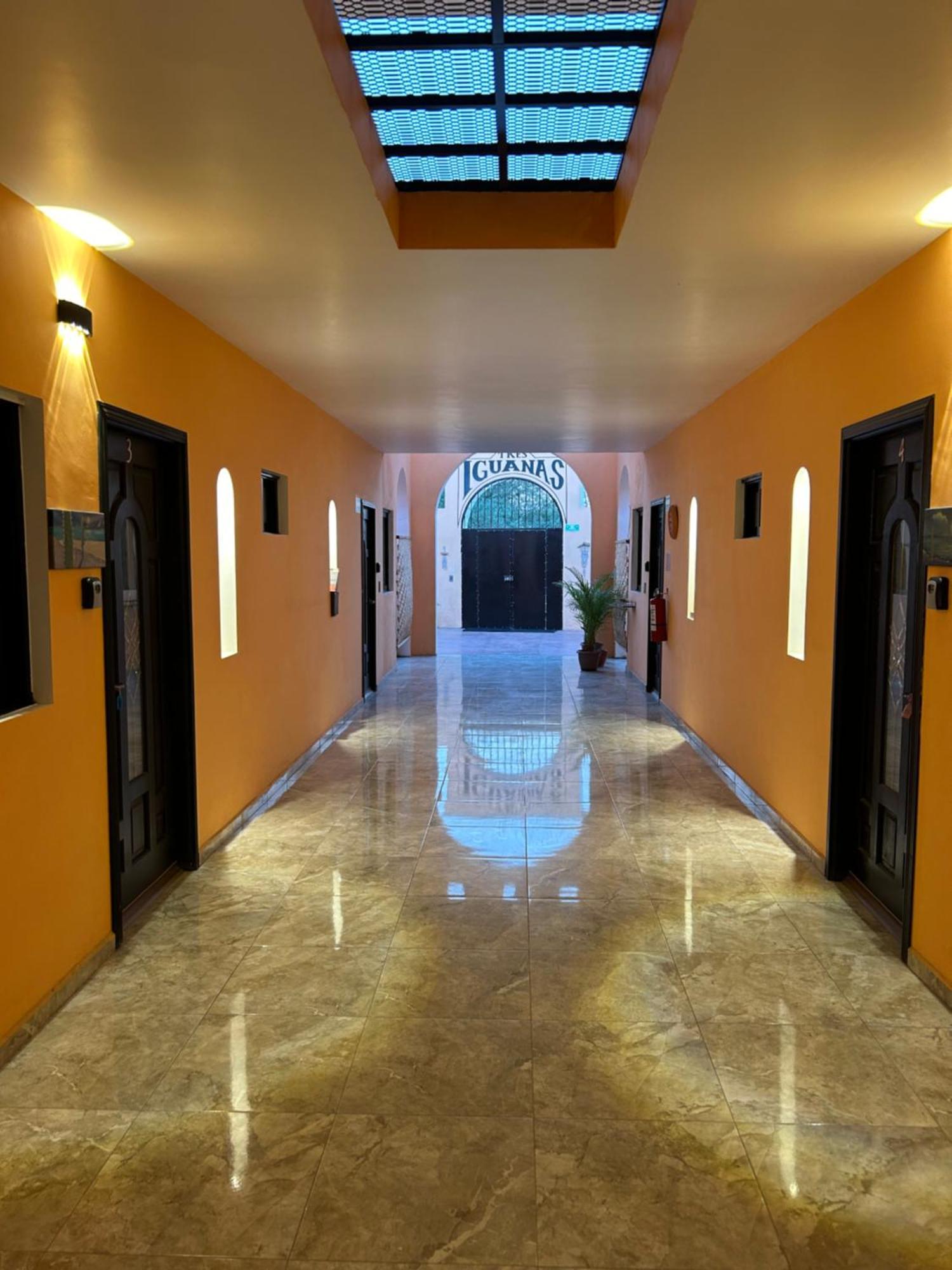 Tres Iguanas Apart Hotel - New, Cozy & Spacious Flats, Short Walk To Beach Loreto  Esterno foto