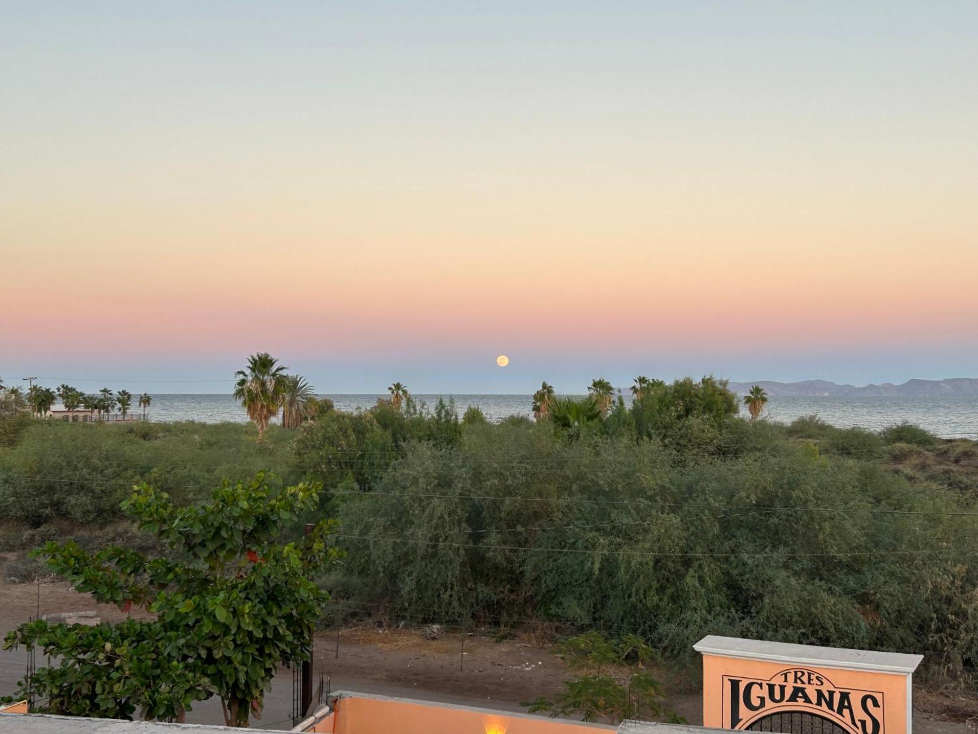 Tres Iguanas Apart Hotel - New, Cozy & Spacious Flats, Short Walk To Beach Loreto  Esterno foto